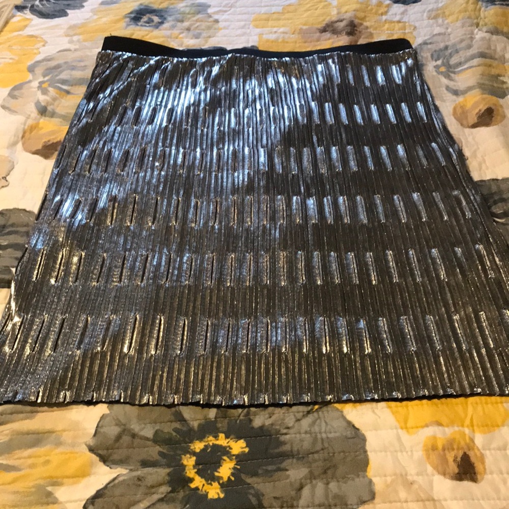 Beautiful Sheer Silver Skirt
